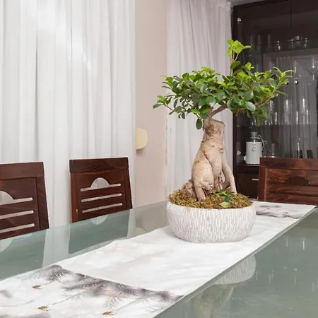 Chic & Serene Apartment-your Relaxing Oasis Tirana