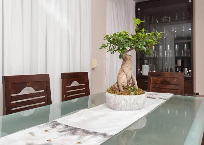 Chic & Serene Apartment-your Relaxing Oasis 地拉那